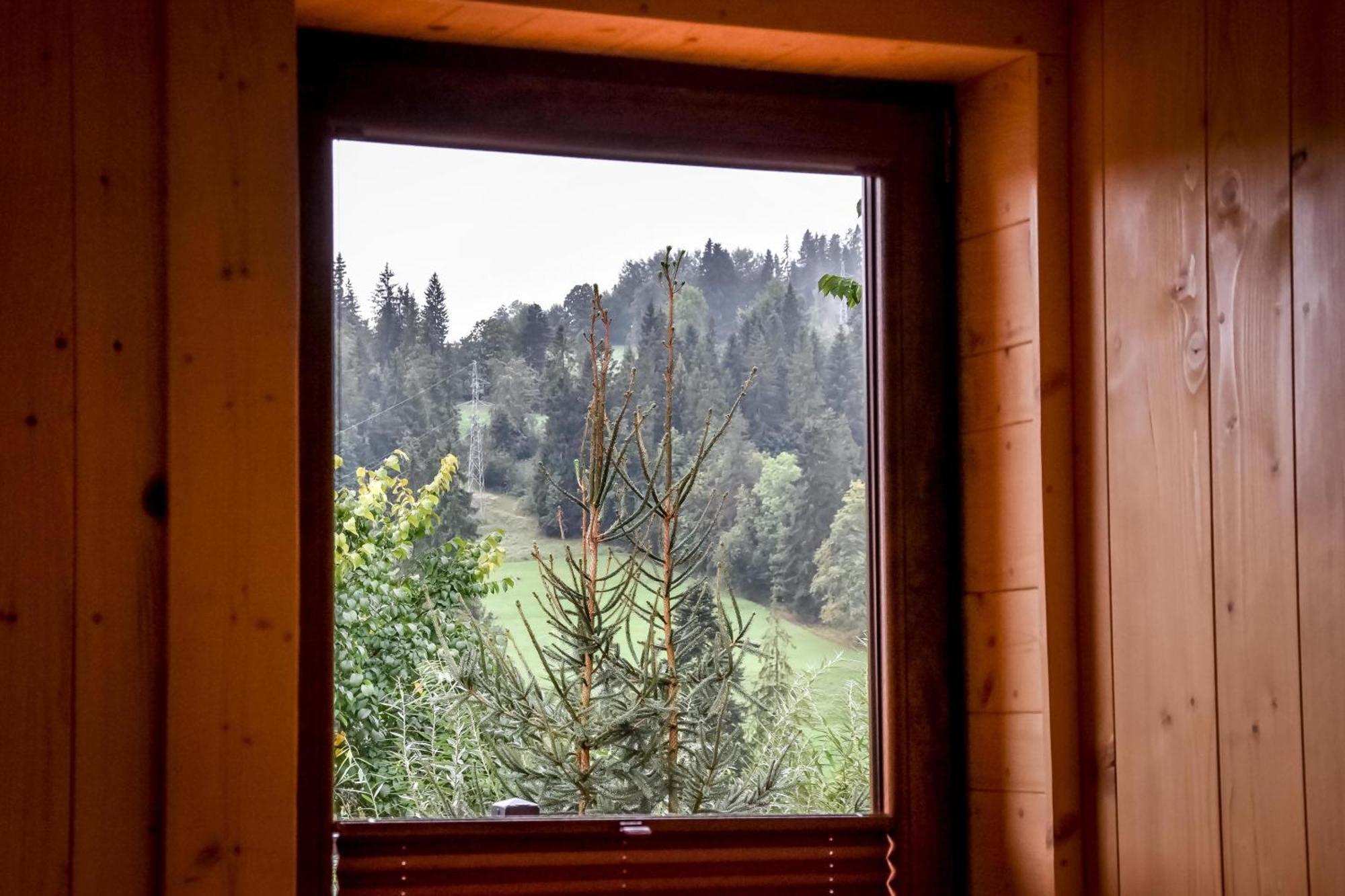 Domek Jatka No 1 Zakopane Extérieur photo